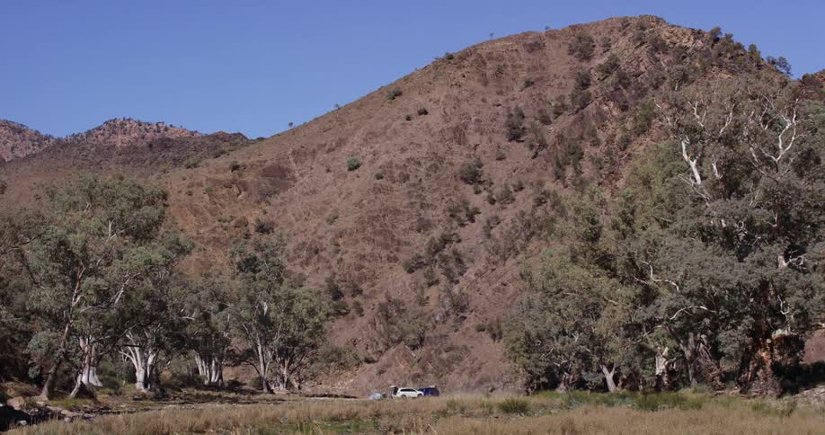 Cars drive by mountains with many trees around on a clear day