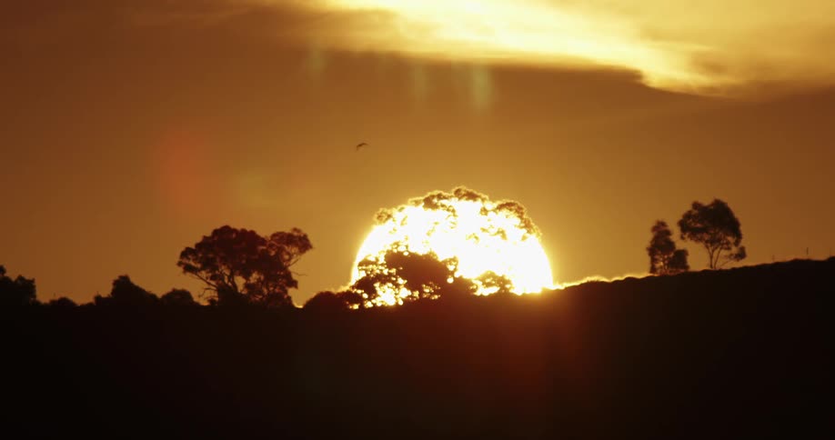 Birds fly across orange sky as setting sun sets on horizon