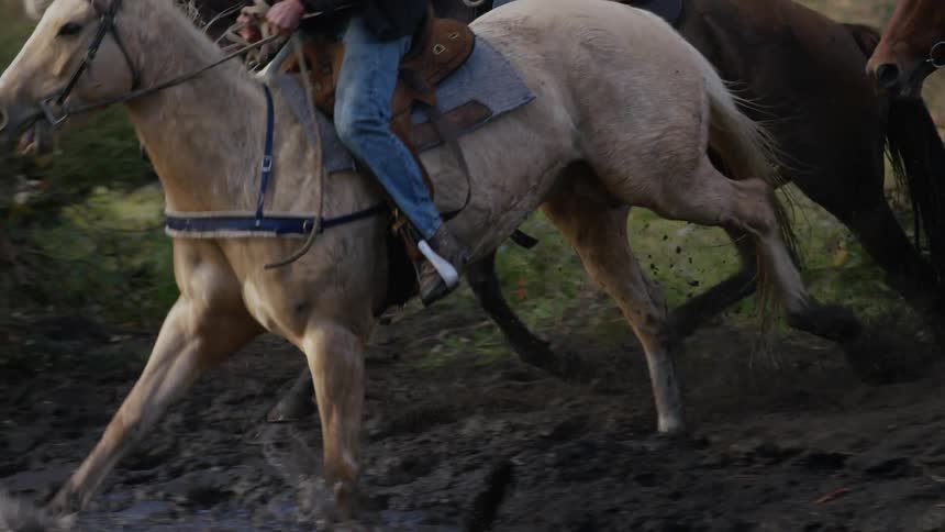 People race their horses through the water
