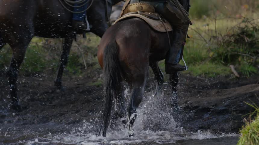 Horseback riders traverse through a river
