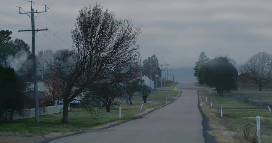 Houses along rural road at dusk