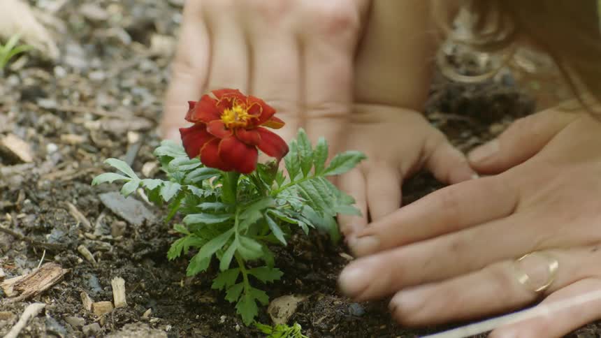 A woman pats the soil around a flower as a small child imitates her