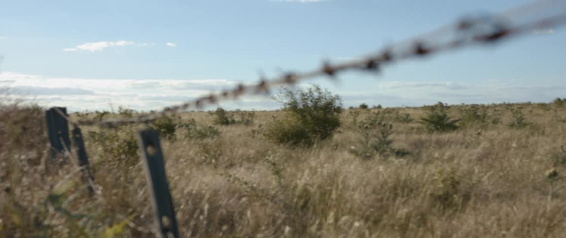 Close up of barbed wire fence swaying in the wind in a field
