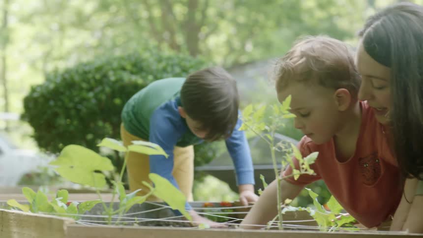 Boys pat the soil in a backyard garden as mom guides and helps