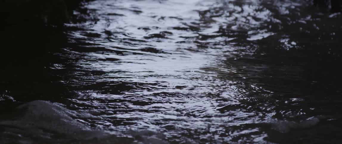 Shallow water in motion