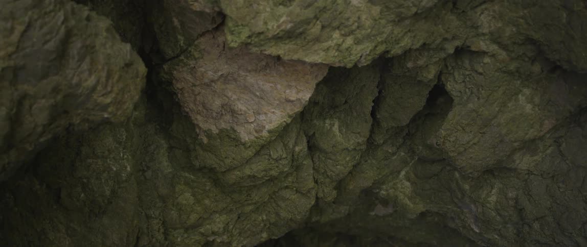 Rocks covered with moss