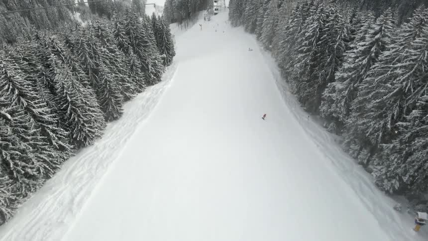Person is riding a snowboard down a snow covered hill with a forest of pine trees on each side