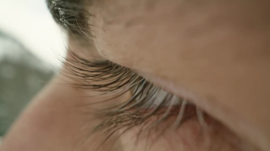 A persons eye eyelashes and eyebrow