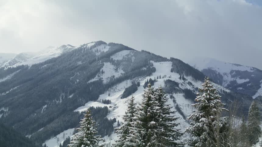 Snow covered pine trees and snow covered mountain range in the distance on a cloudy day