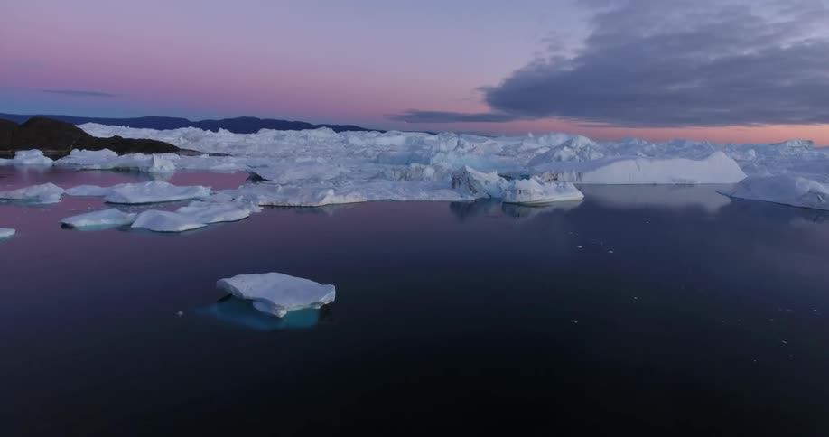 A bird flies past the ice in the ocean