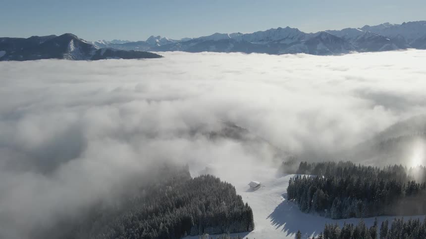 A forest at the foot of mountains with a low fog surrounding it