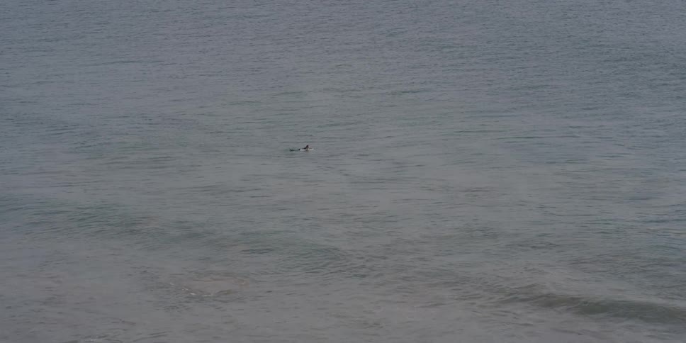 A surfer paddling in the water