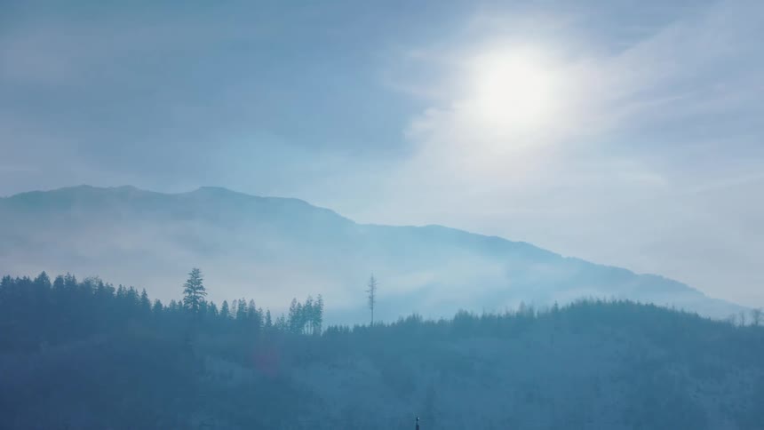 Forest with fog covered mountains on the horizon and a bright sun in a cloudy sky