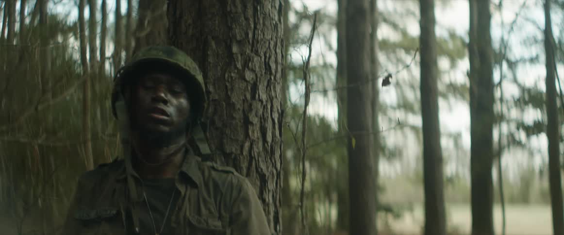 A soldier in camouflage takes cover behind a thick tree trunk in the forest