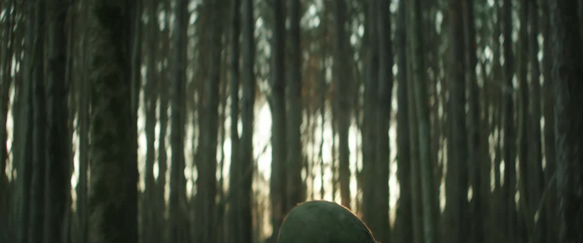A wounded soldier holds his wound as he stumbles through a woodland at sunset