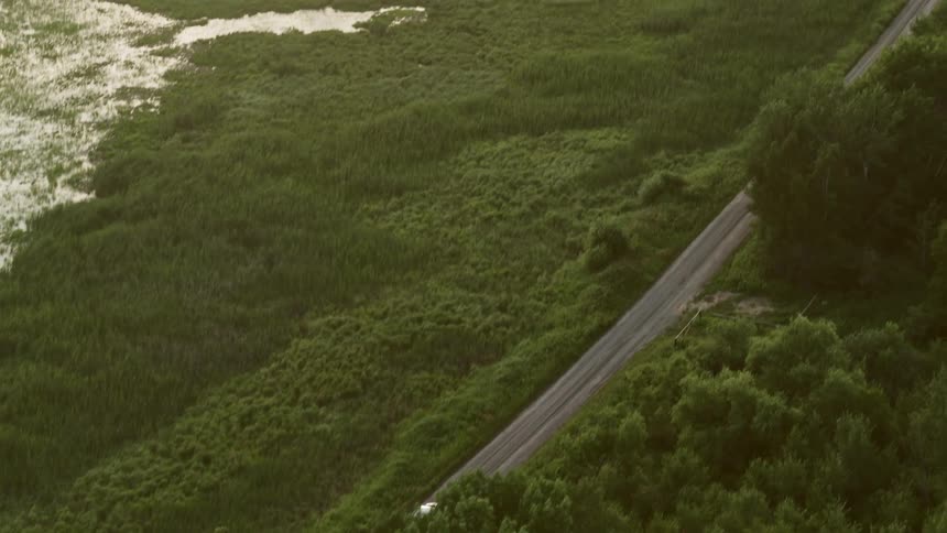 Silver van travels on a road next to a forest with many ponds on the other side of the road