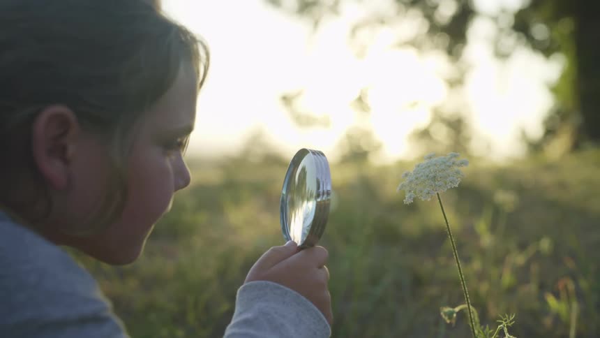 Little girl looking at flower through a magnifying glass outdoors