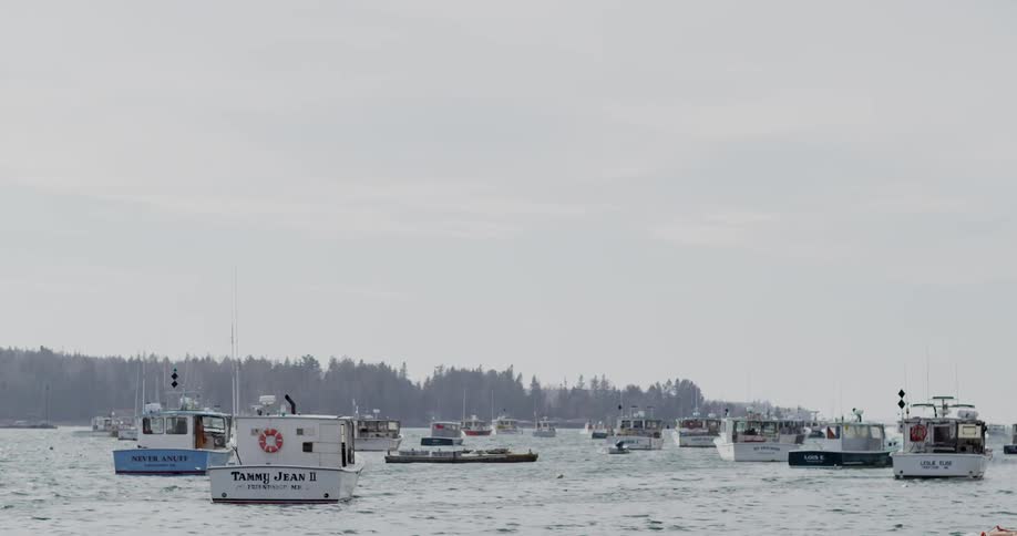 Man boats line this body of water on a cloudy day