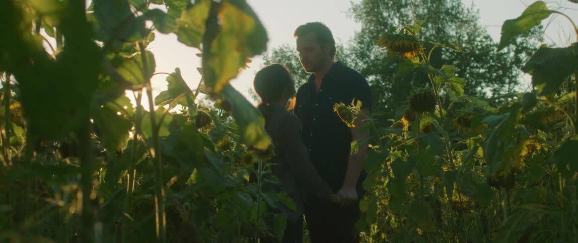 A man and woman kiss in a field of sunflowers