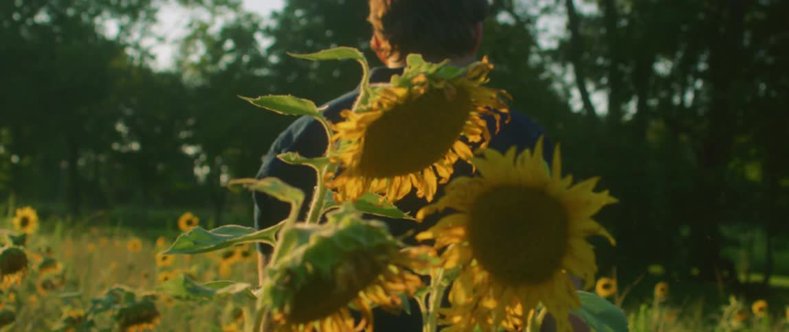 A man and a woman walk through a field of sunflowers on a sunny day
