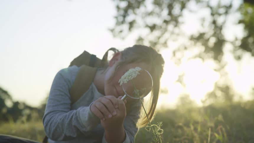 Young girl is holding a magnifying glass and looking at a flower