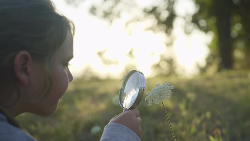Young girl is holding a magnifying glass and looking at a flower