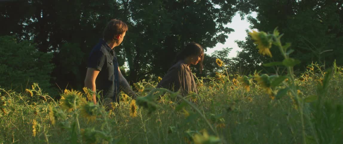 A young woman holds her boyfriends hand as she leads him through a field of sunflowers