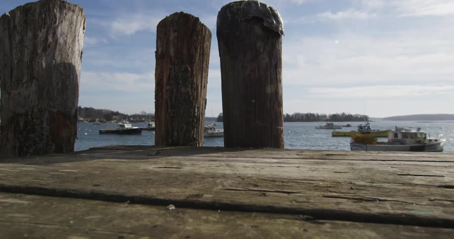 A dock on a lake with many boats in it on a cloudy day