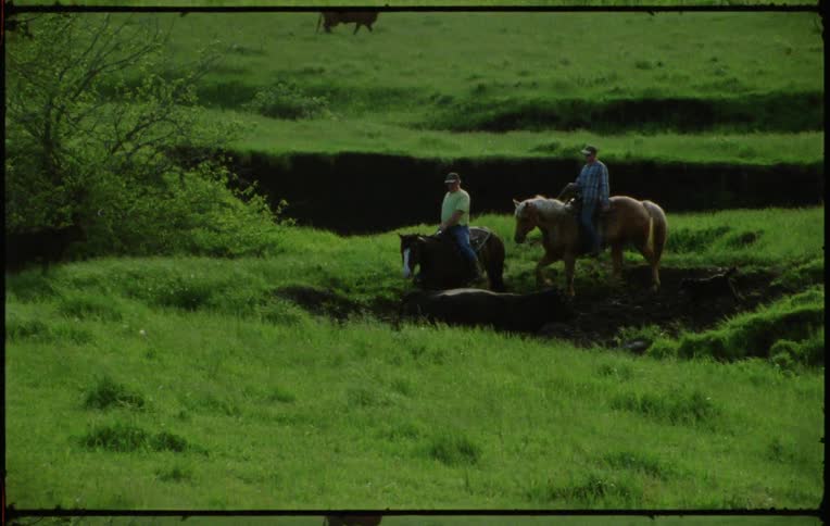 Two men riding on horses in a landscape with grass cattle and trees