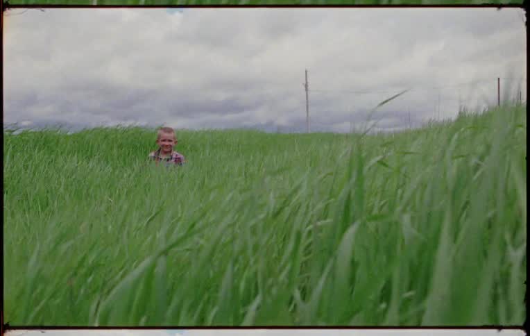 Young boy in field of tall grass that is moving in the breeze