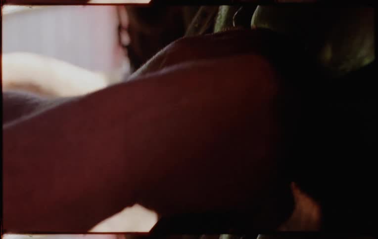A person fastening a saddle onto a horse