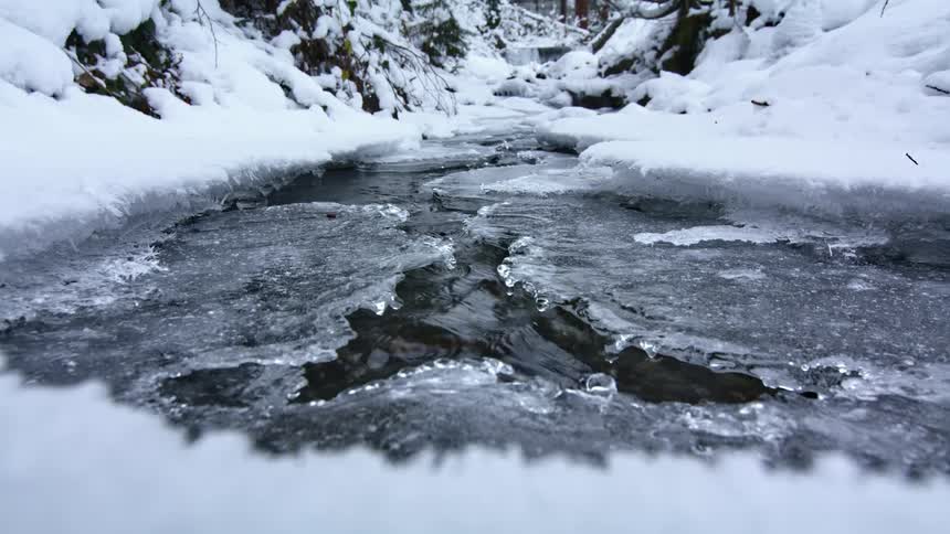 A stream runs beneath a cracked sheet of ice on a snowy day