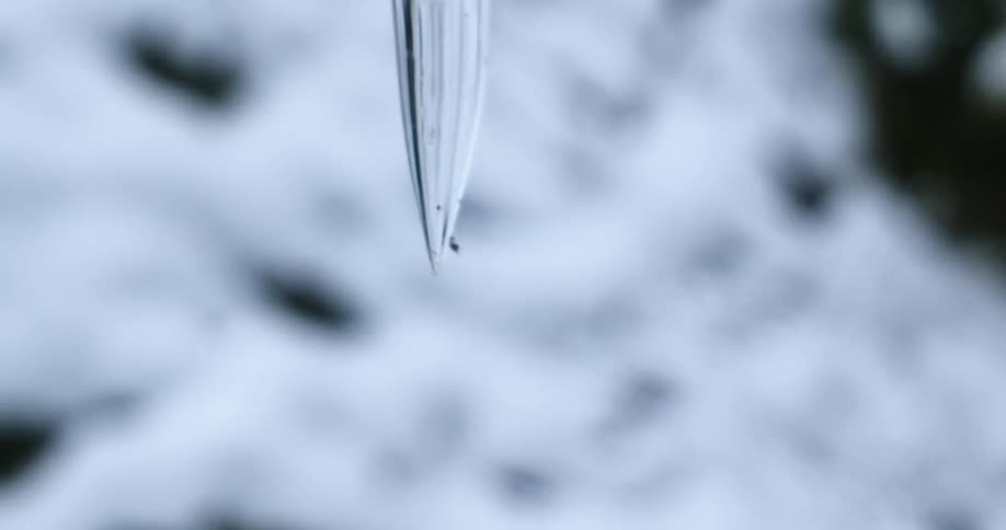 A frozen icicle is displayed outdoors in winter