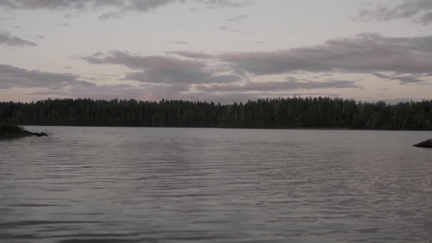 A river surrounded by a forest on an overcast morning