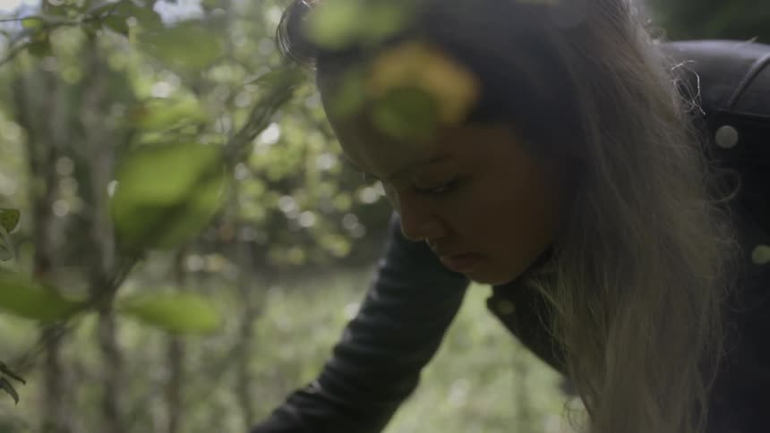 A woman is picking something off bushes during the day