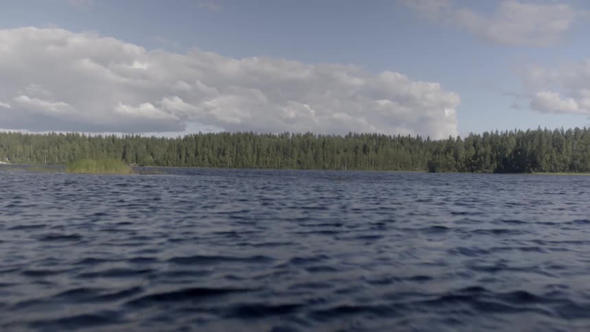 A scenery of a lake and fir forest