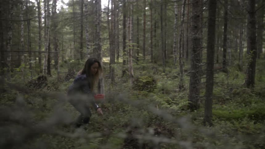 A woman is walking in the woods gathering something in a bowl