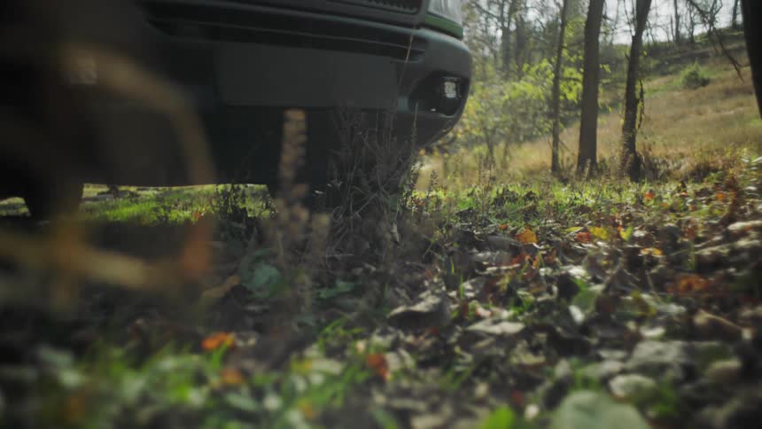 A car drives in to a forest area and stops