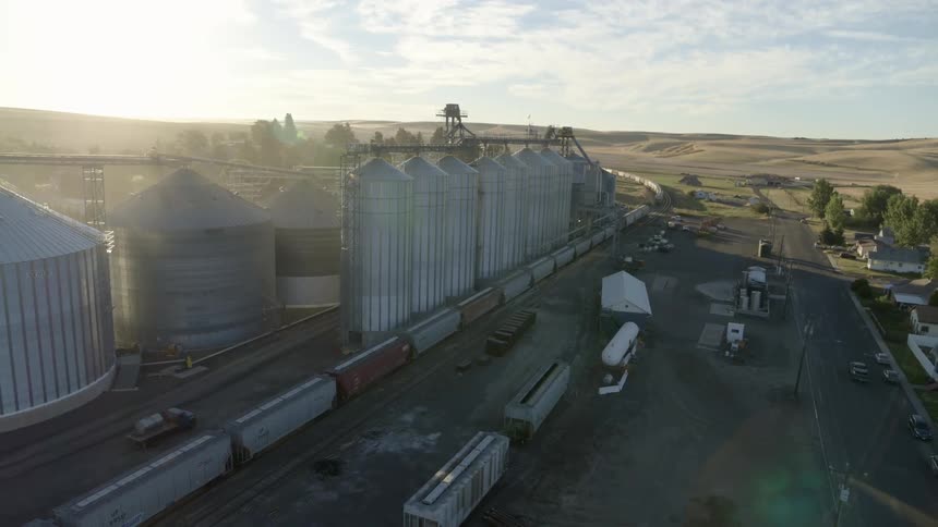 A unit train is loaded with wheat at a small town grain handling facility surrounded by rolling farmland
