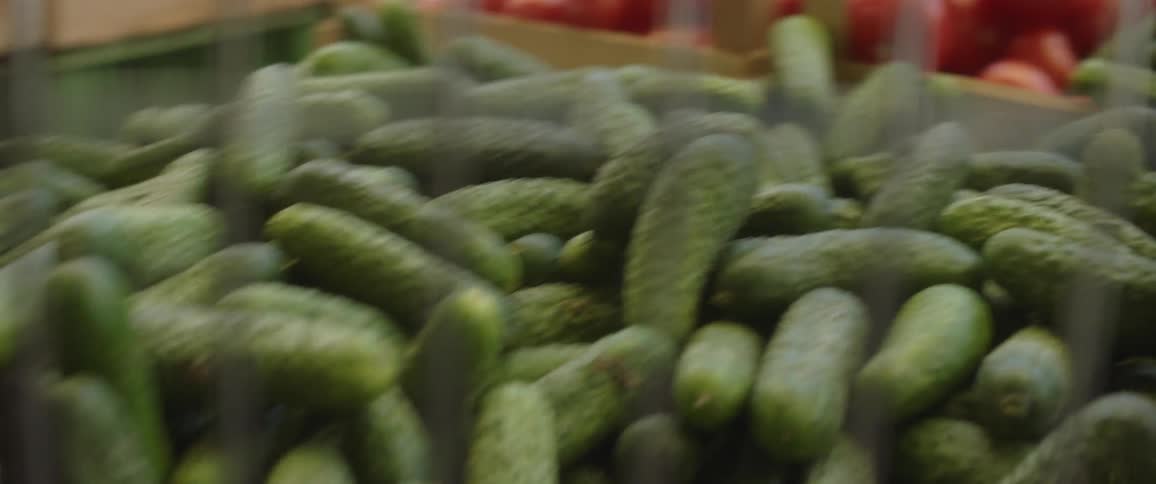 Camera inside a basket films fruits and produce in a farmers market