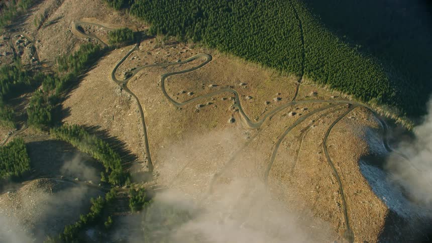 Aerial shot of clear cut logging  and slash piles as seen looking through puffy white clouds from high above earth