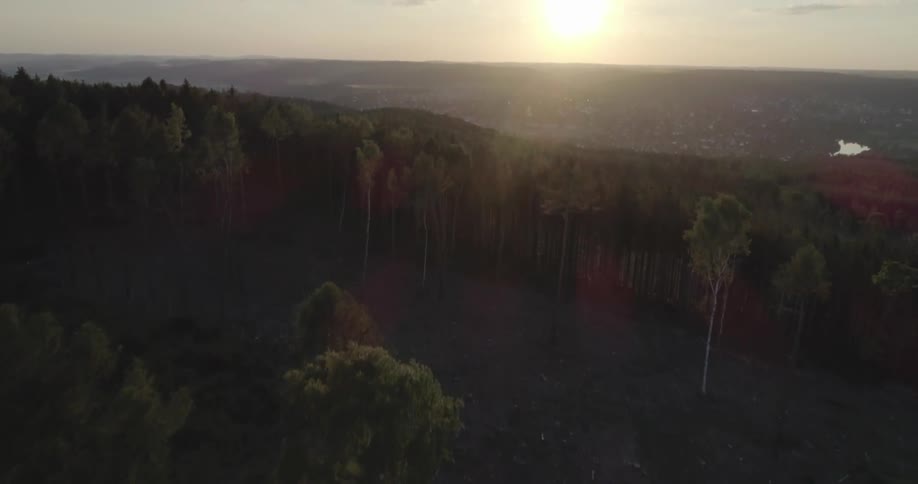 Aerial view of the forest on the hills near town at sunset