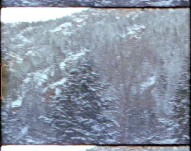 A man wearing shorts walks on a path in a forest next to mountains covered in snow with trees during the day