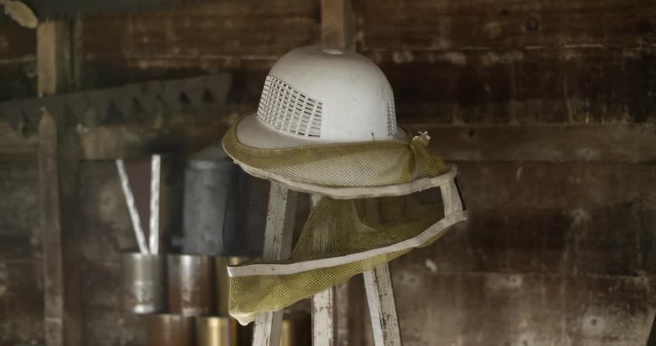 A close up of a bee keepers helmet