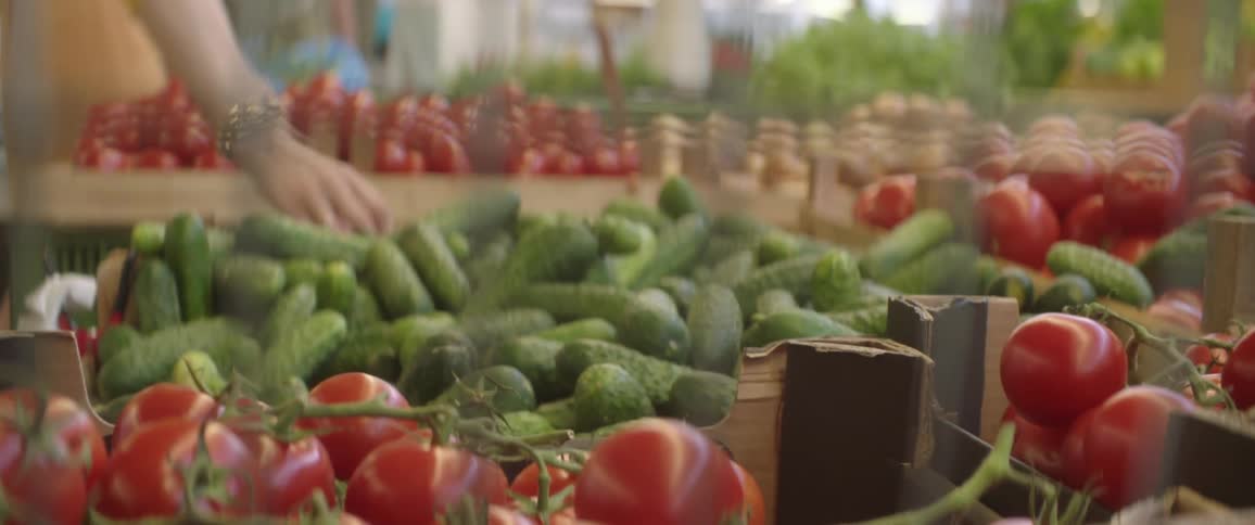 A person buying groceries and produce in an outdoors market