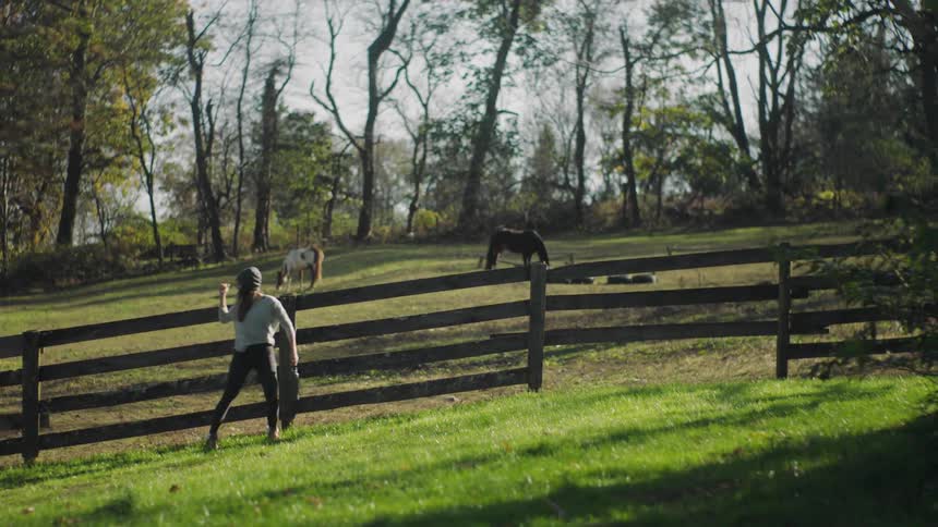 Three women walk past a field on a farm with horses grazing