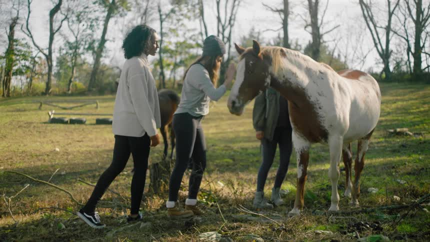 Three women walk over to pet the horse