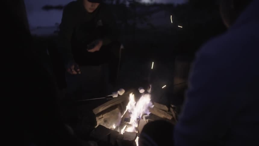A group of people roast marshmallows around a campfire at night