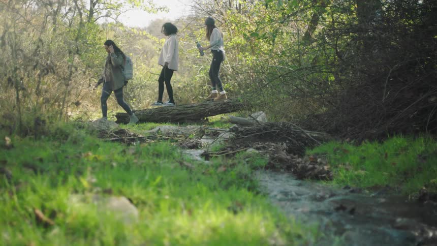 Three women are hiking in a wooded area