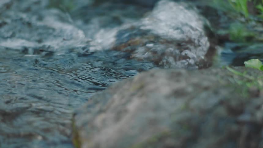 A river with water bubbles rocks and plants